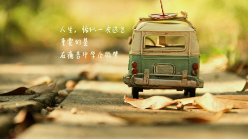 忆星