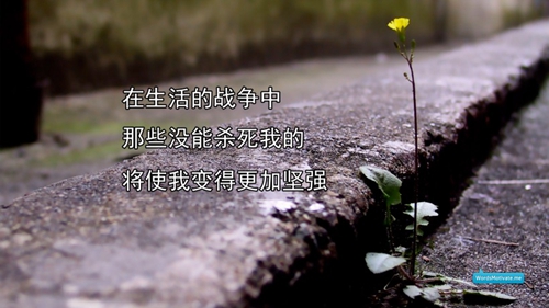 一剪梅