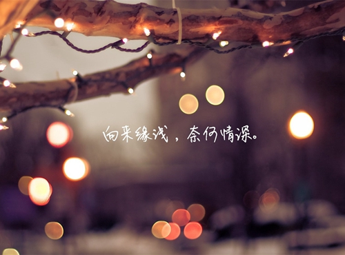 月光情人
