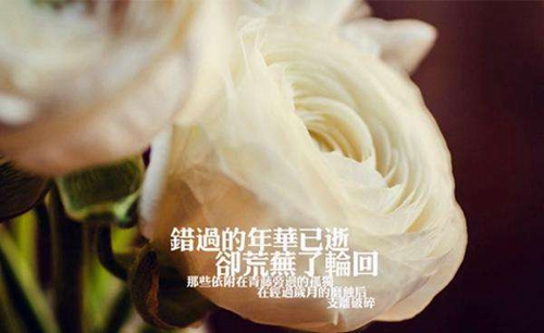 依拉之恋