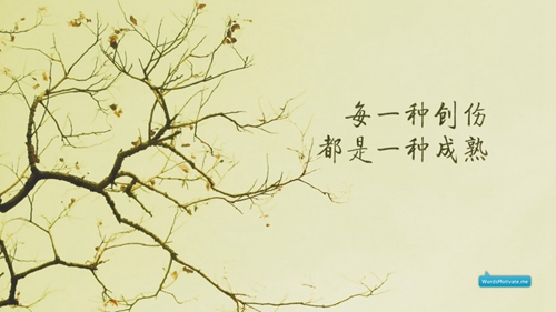 献给妈妈的歌