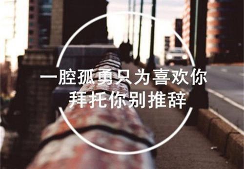 信马由缰
