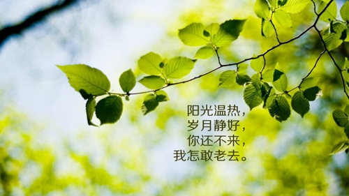 婆婆就是妈
