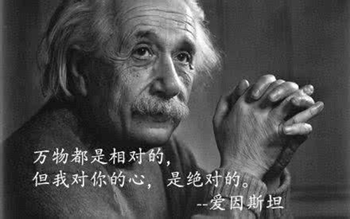 洁白的雪莲花