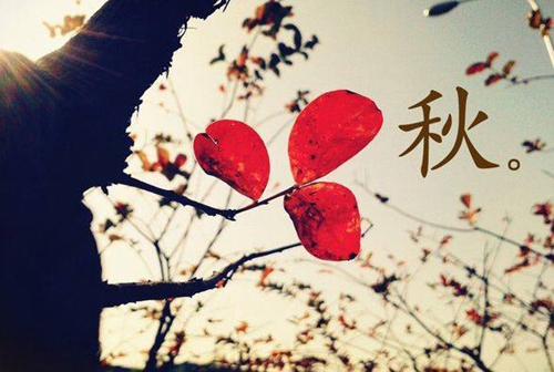 在银杏树下