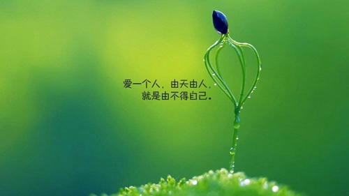 梦里人