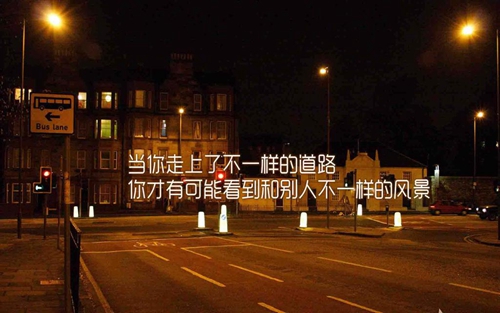 一只大雁