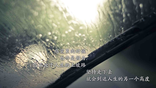 被爱迷昏了头