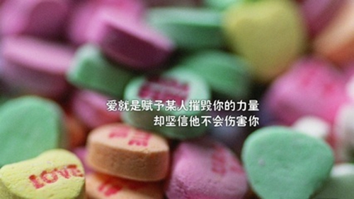 只为遇见