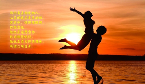 梦中的兰花花