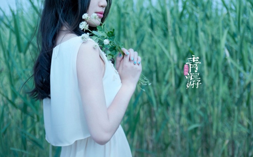 白莲花