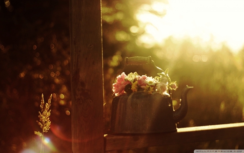 向来与世无争的唯美句子