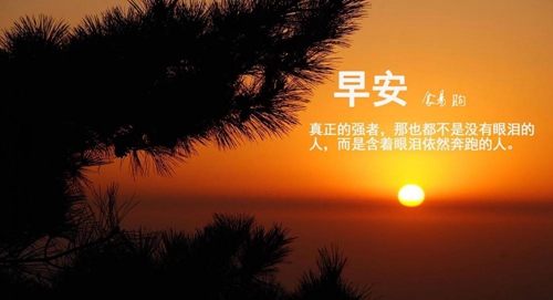 最热门的说说