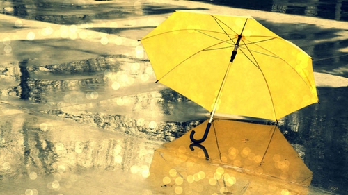 蔡依林经典dj歌曲