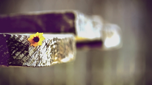 搞笑的说说大全短句