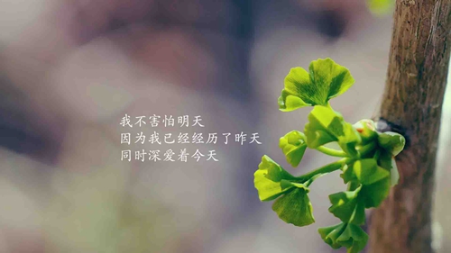 关于经典的说说发朋友圈