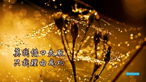那些霸道的网名