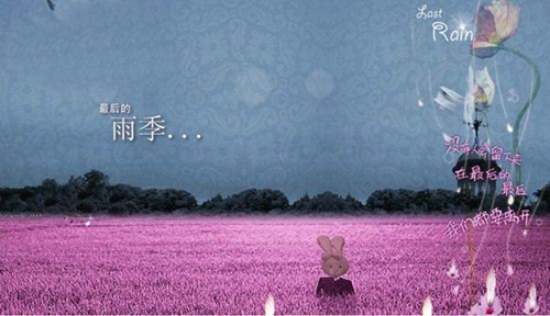 关于面的说说句子