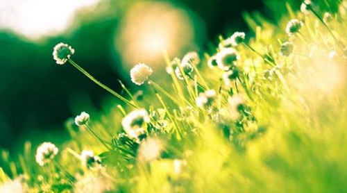 道友搞笑网名 道友搞笑网名