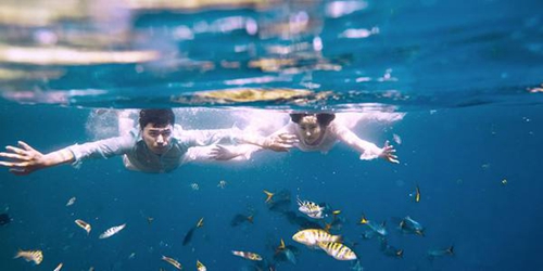 兄弟三个人的网名男 兄弟三个人的网名男