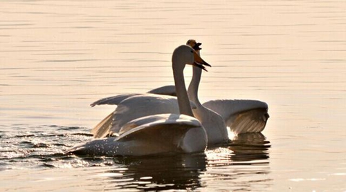 关于夜景的说说句子 关于夜景的说说句子