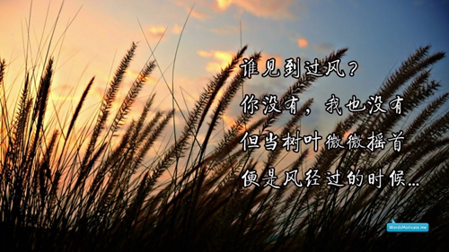 老人的微信网名应该怎么弄