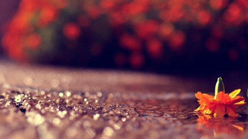 宝宝自己穿裤子发的搞笑说说