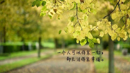 关于短句的说说句子