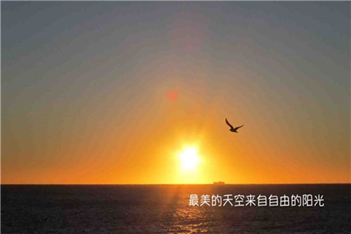 描写洁白的句子