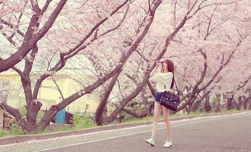 带符号高级小众的寓意网名