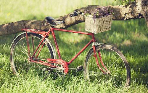 李现粉丝名是什么 李现粉丝名是什么