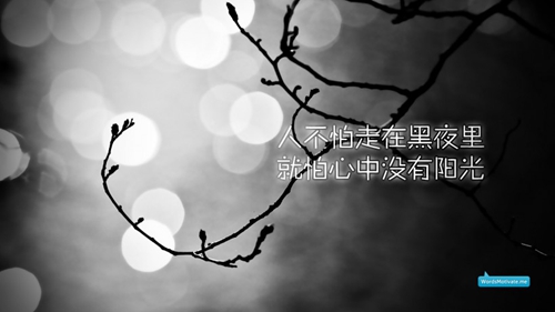 精选25条子来的说说句子