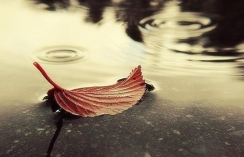 心晴雨晴