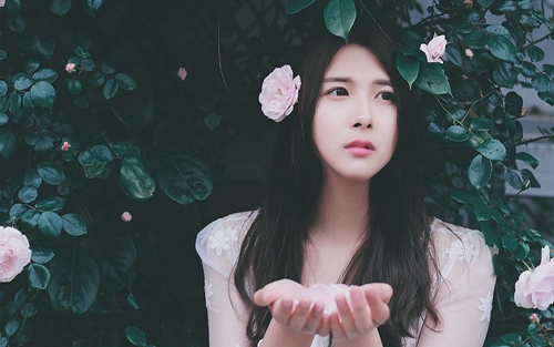 桃花红杏花白广场舞教程