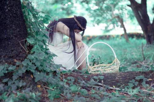 广场舞雪莲花32步双人舞
