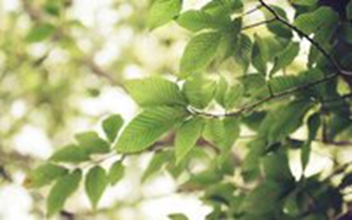 《花心传说》恰恰广场舞