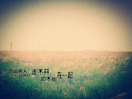 爱是相互的情感句子