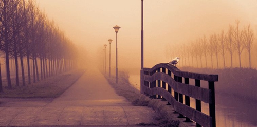 伤心句子加娃娃图片