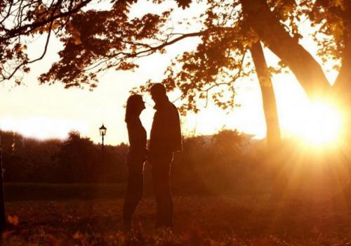 描写落叶飘下来的句子 描写落叶飘下来的句子