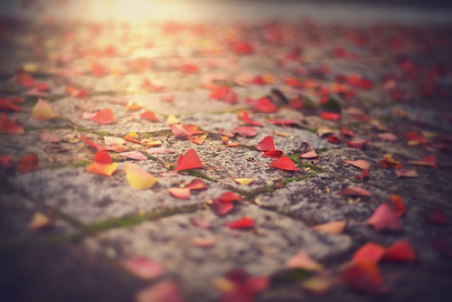 飘飘乐逍遥歌曲dj