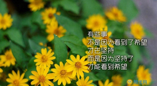 霸气的句子或文字图片