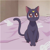 抖音的丧系头像14