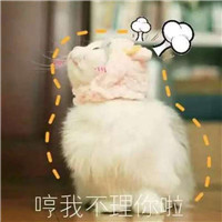 头像忘了爱10