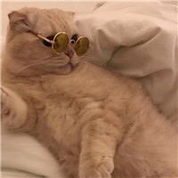 爱国言论换头像4