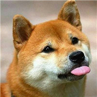 夕阳情侣头像背影单人不明显8
