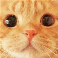 经典微信头像旧版企鹅侧身6
