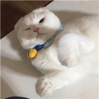 卡通墙绘头像7