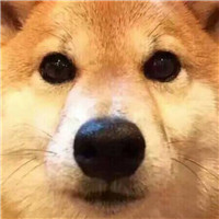 有哪些迷你世界头像2