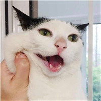 喝水漫画情侣头像1
