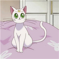 棕色头像女生漫画图片4 棕色头像女生漫画图片4